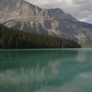 Meet your Posher, Danny